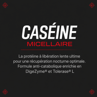 Beverly Nutrition - Professional Micellar Casein 