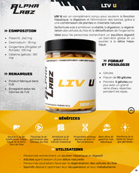 Alpha Labz - LIV U (anciennement Stay Alive, même composition)